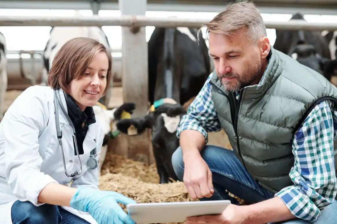 Animal nutrition